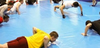 Lupii Albastri - arte-martiale in Bucuresti