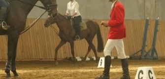 Scoala de Echitatie Laurentiu Covaci - echitatie in Timisoara