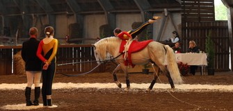 Asociatia Sportiva Galopp - echitatie in Satu-Mare