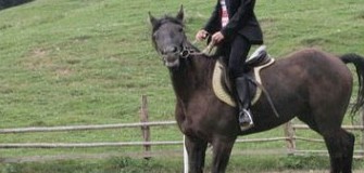 Centrul de echitatie Diana - echitatie in Rasnov