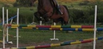 Club Furioso - echitatie in Cluj-Napoca