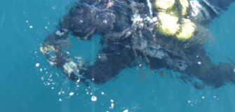 Aquarius Dive Center Constanta - inot in Constanta