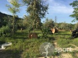 SIEGE paintball - paintball in Galati | faSport.ro