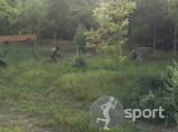 SIEGE paintball - paintball in Galati | faSport.ro