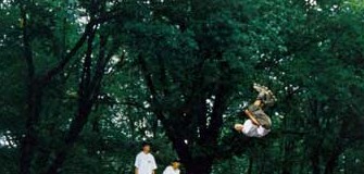 Skate Park Bucuresti - Herastrau - skateboarding in Bucuresti